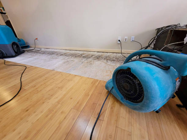 Reliable Basement Flood Cleanup contractor in New Hill, NC by Hirex Water Damage