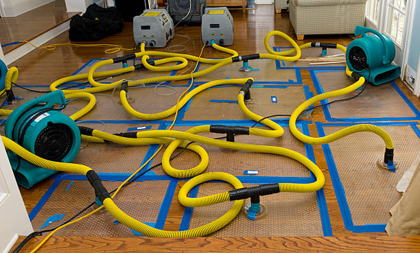 Professional Basement Flood Cleanup technician working in New Hill, NC